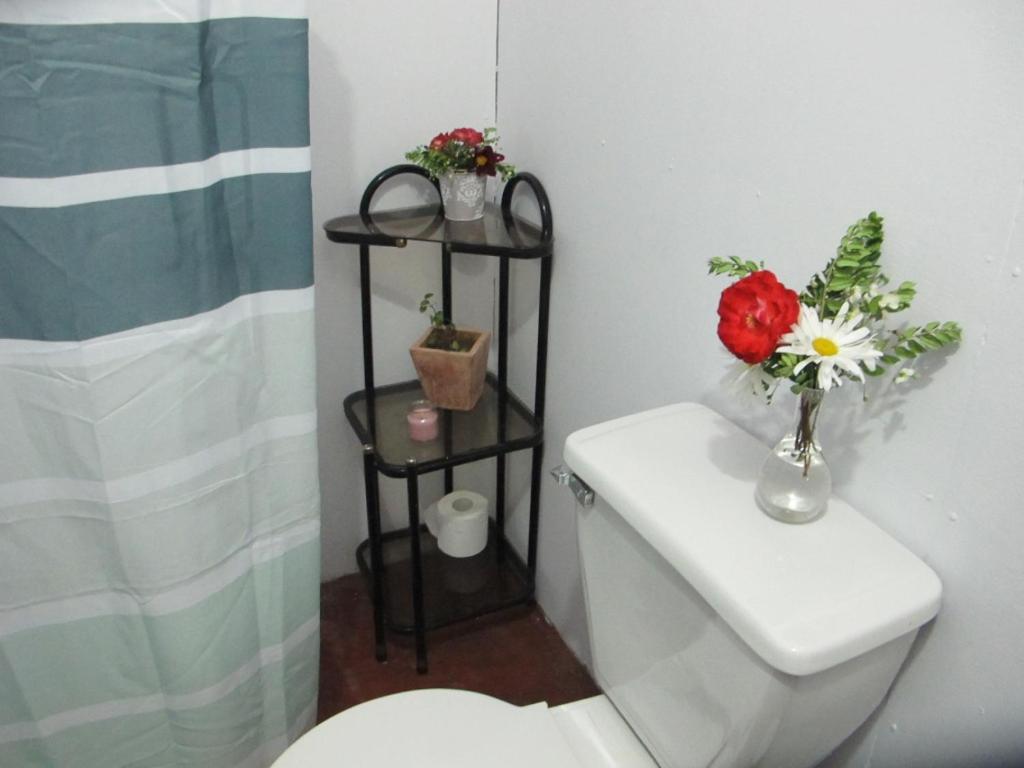 Habitaciones Centro Pucon Bagian luar foto